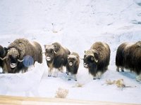 photos 2000-200901018